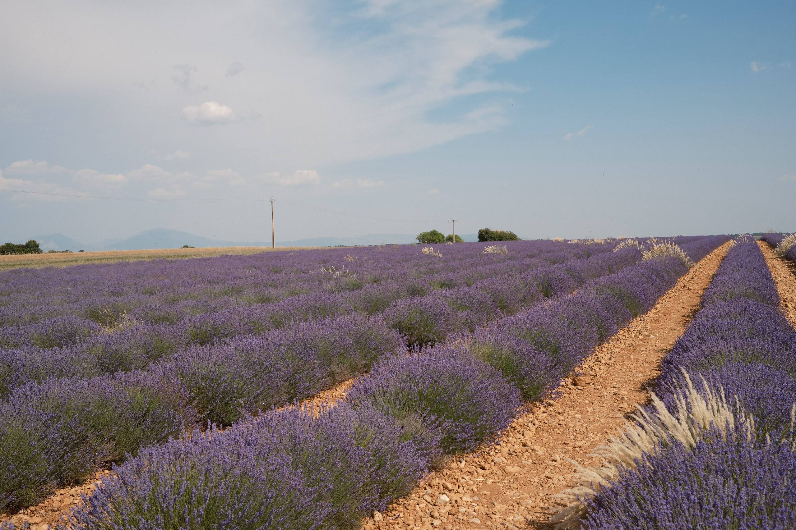 South Of France — 23