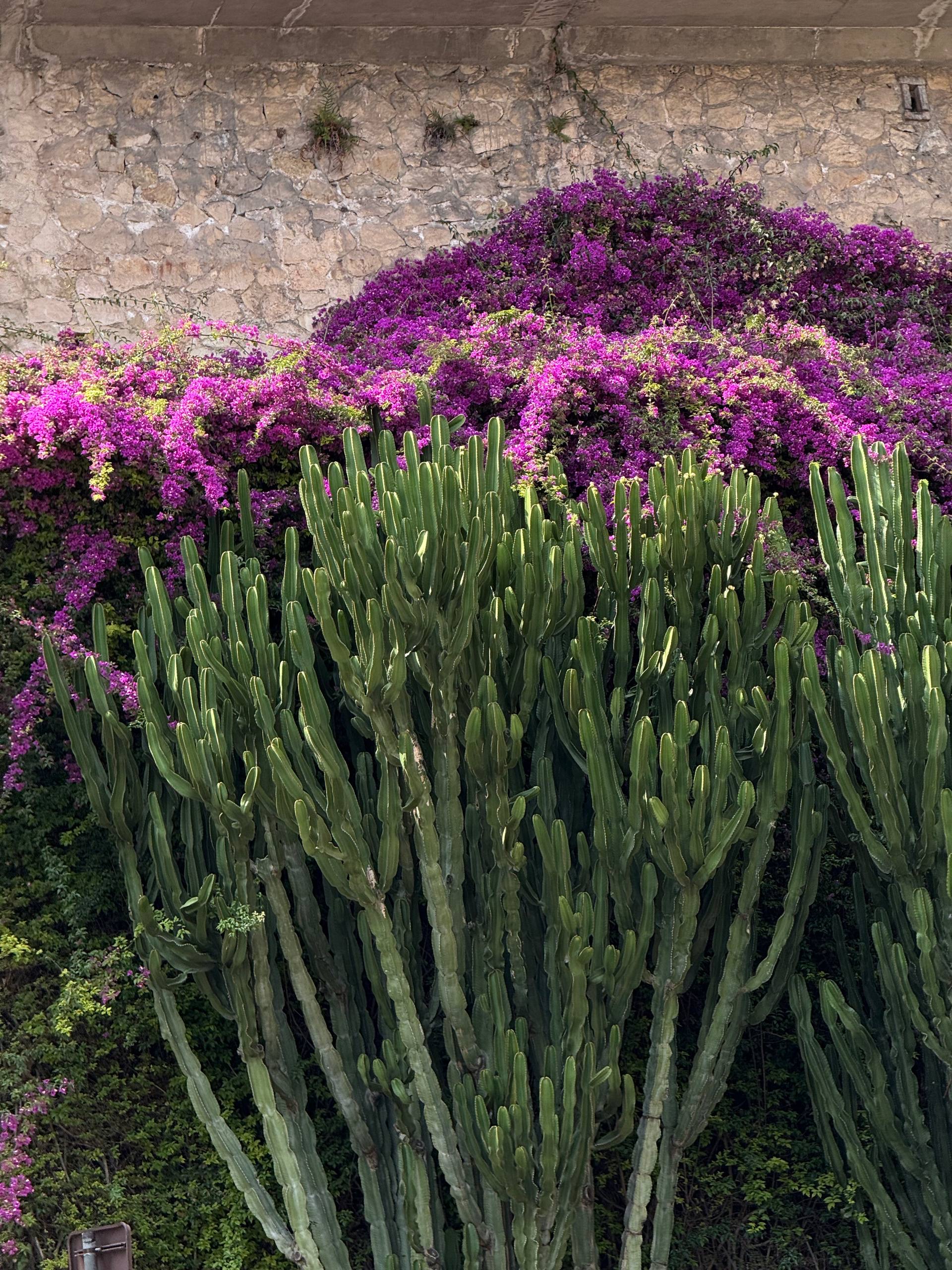 South Of France — 20